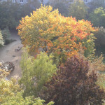 Karl-Marx-Allee-Karree, Innenhof, Blick auf den Spielplatz, Herbst 2006